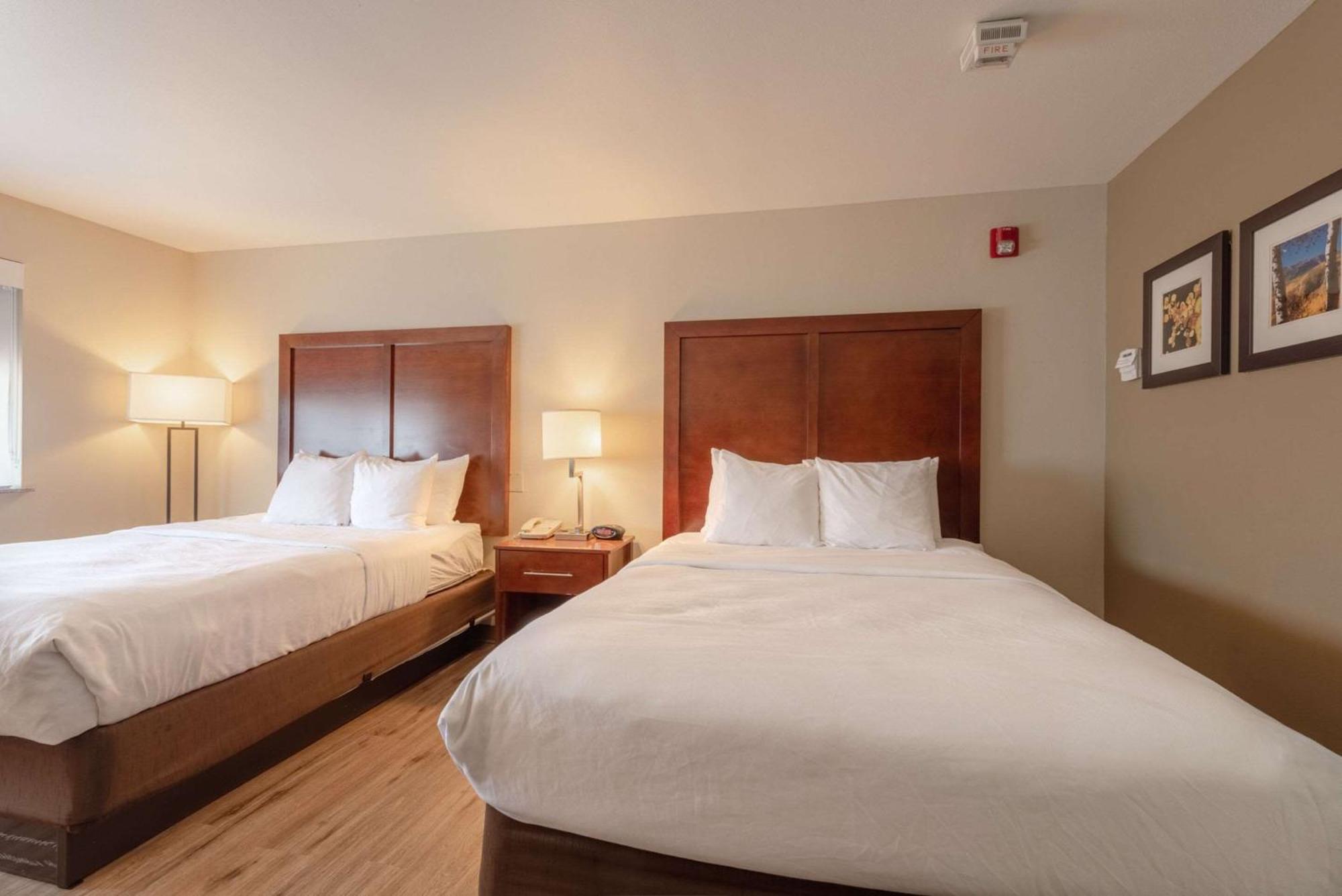 Comfort Inn & Suites Аламоса Экстерьер фото